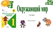 Презентация к уроку окружающего мира Когда приходит лето? 1 класс Школа России