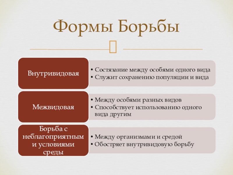 Естественная борьба. Форма для борьбы. Формы борьбы естественного отбора. Формы борьбы в истории. Перечислите формы борьбы.