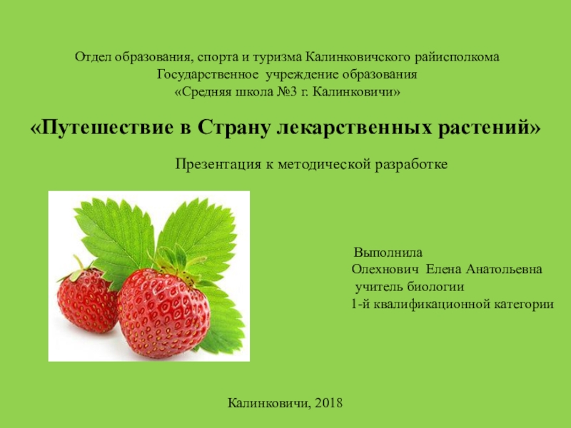 Презентация Презентация к методической разработке Путешествие в Страну лекарственных растений