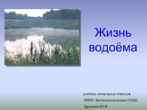 Презентация по окружающему миру