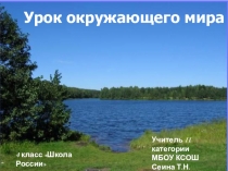 Презентация по окружающему миру на тему Жизнь пресного водоёма (4 класс)