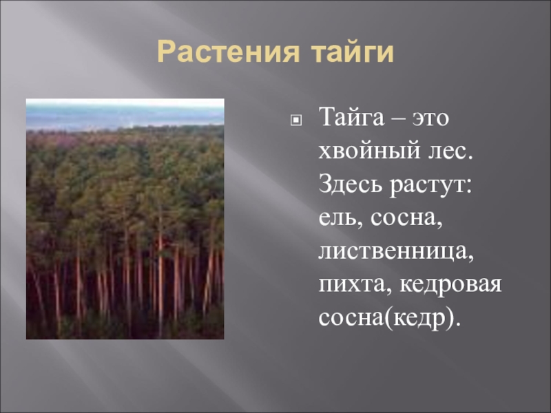 Зона лесов окружающий. Зона лесов 4 класс окружающий мир. Зона лесов России 4 класс окружающий мир. Презентация по окружающему миру 4 класс зона лесов. Зона лесов Тайга 4 класс окружающий мир.