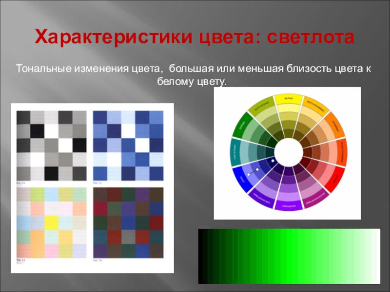Изменения цвета цветов. Светлота цвета. Изменение цвета по светлоте. Цвета противоположной светлоты. Понятие светлота цвета.