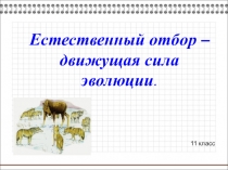 Презентация Естественный отбор – движущая сила эволюции