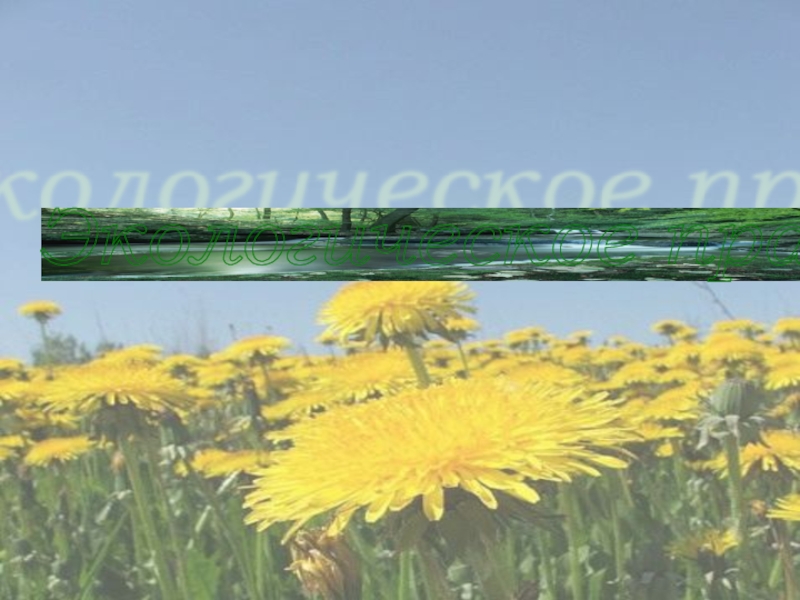 Презентация по обществознанию на тему Экологическое право (9 класс)