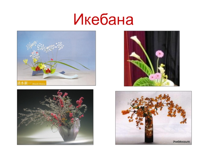 Икебана 7 класс изо рисунок