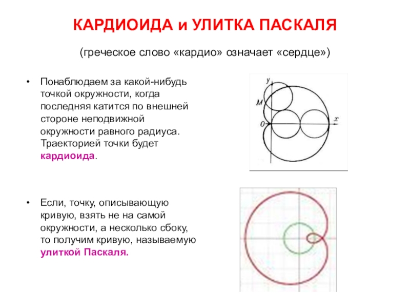 Реферат: Замечательные кривые в математике