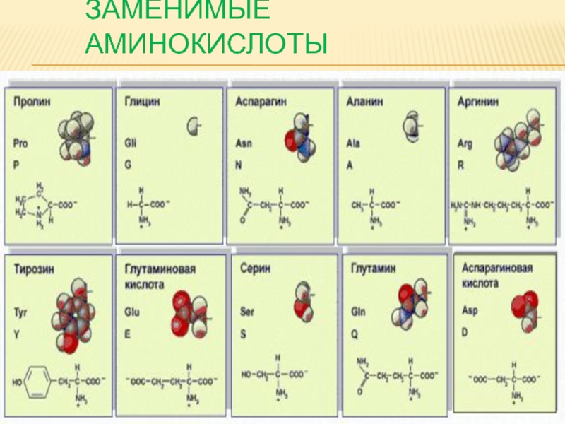 Химические элементы аминокислот. Аминокислоты. Заменимые аминокислоты. Заменимые и незаменимые аминокислоты. Аминокислоты формулы.