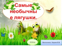 Презентация Самые необычные лягушки