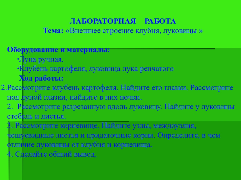 Внешнее строение корневища клубня и луковицы. Лабораторная работа луковица. Лабораторная работа клубень. Лабораторная работа строение клубня. Клубень и луковица лабораторная работа.