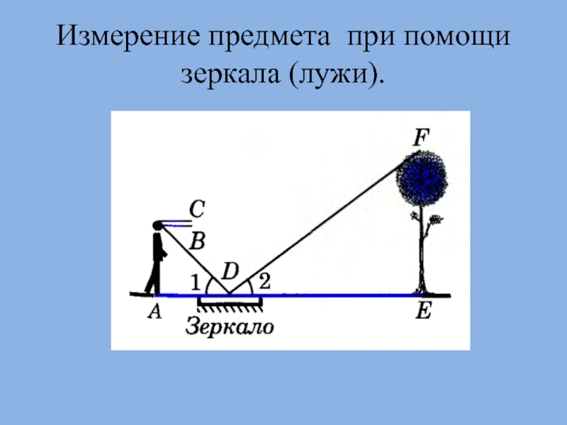 Проект измерительные работы на местности 8 класс