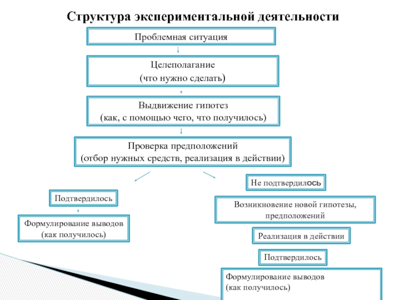 Технологии творческой и опытнической деятельности 7 класс презентация