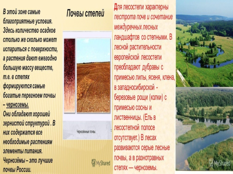 Какие почвы в степях россии. Лесостепь почвы и географическое положение. Почвы степей и лесостепей в России. Лесостепная зона климат почва. Тип почвы лесостепи и степи в России.