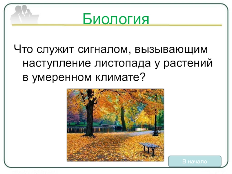 Когда заканчивается листопад. Что служит сигналом к наступлению листопада. Сигналом вызывающим наступление листопада у растений. Сигналом к наступлению листопада у растений служит. Сигналы растений наступления листопада.