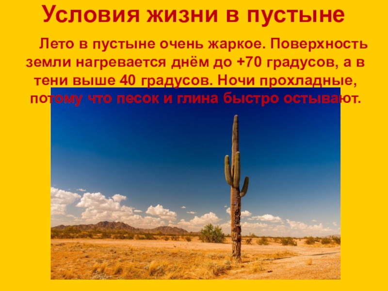 Средняя температура летом в пустыне