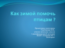 Презентация к уроку окружающего мира на тему: Как зимой помочь птицам?