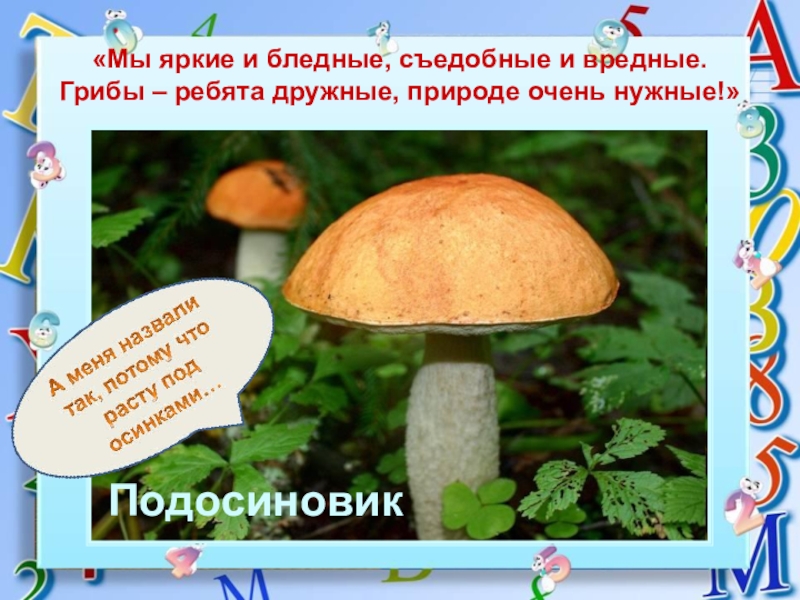 Тест по окружающему миру 3 класс грибы. Подосиновик окружающий мир. Презентация про гриб подосиновик. Подосиновик информация для детей 2 класс. Информация о подосиновике.