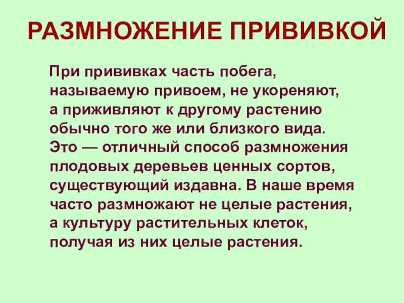 Вегетативное размножение корневыми черенками. Почему сортовые свойства плодовых деревьев не изменяются. Организмы размножающиеся прививкой. Вегетативное размножение прививкой окулировка. Вегетативное размножение прививкой глазком.