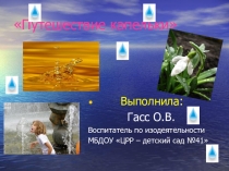 Презентация по экологическому воспитанию для детей старшего дошкольного возраста