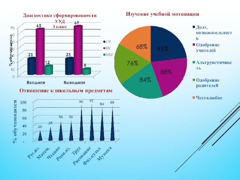 Информация о публичной презентации общественности и профессиональному сообществу шаблон