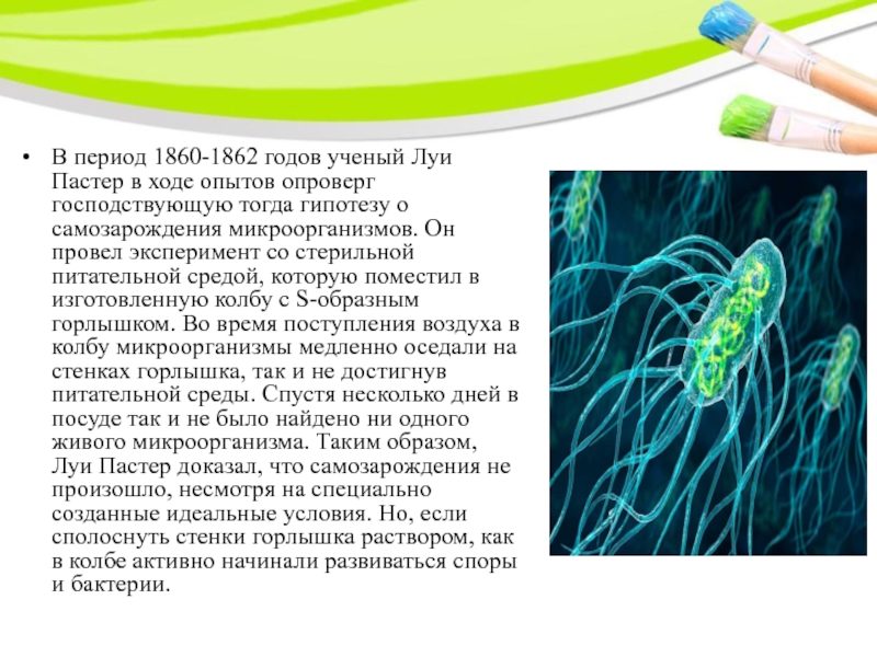 На рисунке показан опыт луи пастера какую теорию опроверг ученый этим опытом