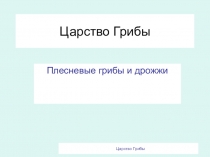 Презентация по биологии на темуЦарство грибов(6 класс)