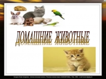 Презентация  Домашние животные начальные классы
