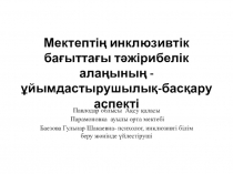 Мектептің инклюзивтік бағыттағы тәжірибелік алаңының -ұйымдастырушылық-басқару аспекті