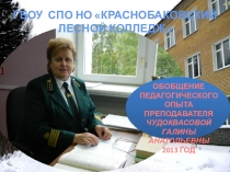 Презентация по обобщению опыта на конкурсе