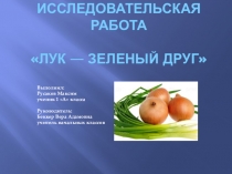 Исследовательская работа на тему: Зелёный лук