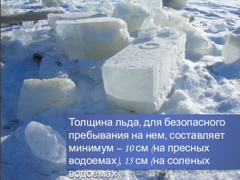 Признаки толстого льда. Толщина льда Осташков. Фото тонкого и Толстого льда.