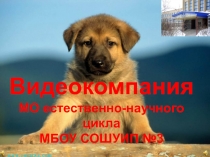 Презентация по биологии на тему:Призыв на участие в декаде биологии, химии и географии(5-11 классы)