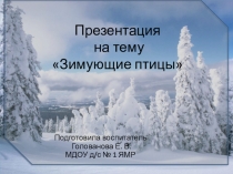 Презентация по ознакомлению с окружающим в старшей группе Зимующие птицы