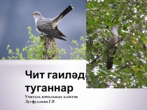 здоровья 1-4 кл.