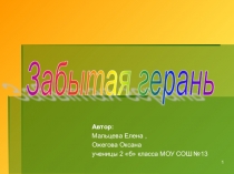 Научно-исследовательская работа Забытая герань( презентация)