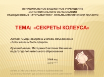 Презентация к исследовательской работе Секреты колеуса