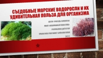 Презентация Съедобные морские водоросли и их удивительная польза для организма