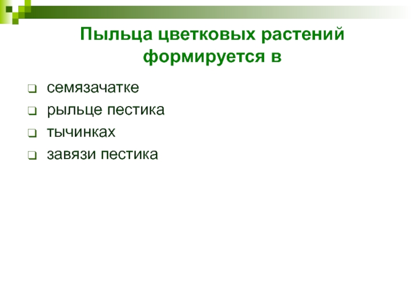 Пыльца цветковых растений формируется всемязачатке   рыльце пестика   тычинках   завязи пестика