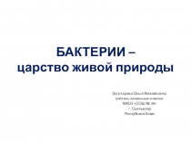 Презентация по окружающему миру Бактерии - царство живой природы