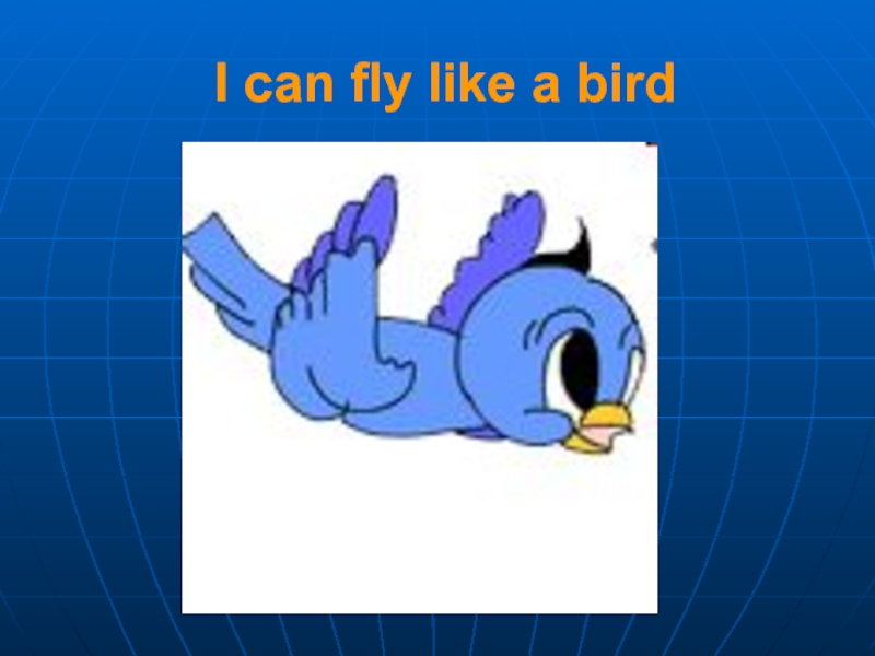 I like to fly my. I can Fly английском. Birds can Fly. Can Fly картинка. I can Fly картинки для детей.