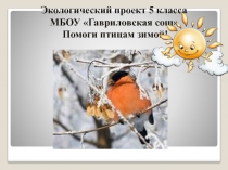 Презентация Помоги птицам зимой