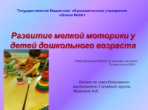 Развитие мелкой моторики у детей дошкольного возраста