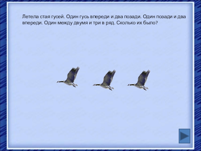 Сколько впереди. Летала стая гусей один впереди. Стая гусей летит. Летела стая гусей один впереди два позади два. Гуси летают стаями.