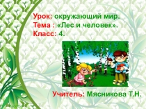 Презентация к уроку окружающего мира на тему Лес и человек