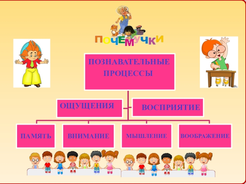 Познавательный процесс реферат. Познавательные процессы у детей. Познавательные процессы картинки. Рисунки по теме Познавательные процессы. Познавательные процессы в психологии.