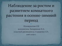 Исследовательская работа Хлорофитум 2 класс