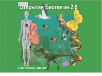 Урок - презентация Законы Г.Менделя