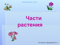 Презентация по окружающему миру Части растений