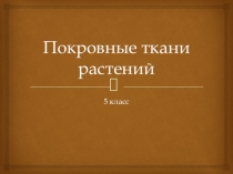 Презентация по биологии на тему: покровные ткани растений