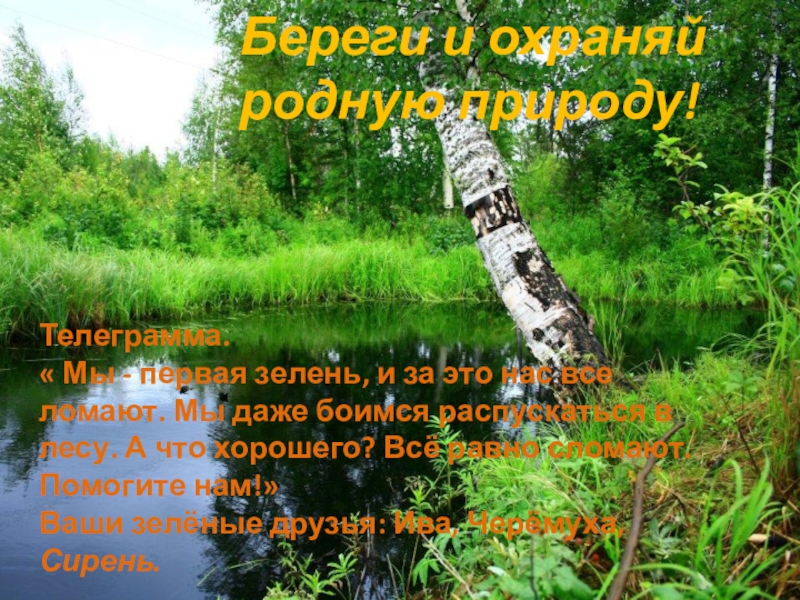 Беречь край. Берегите природу родного края. Бережем природу родного края. Беречь и охранять родную природу. Слоганы о природе родного края.